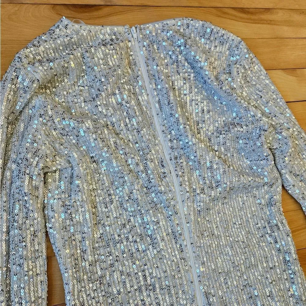 Windsor White and Silver Sequined Long Sleeve Dress